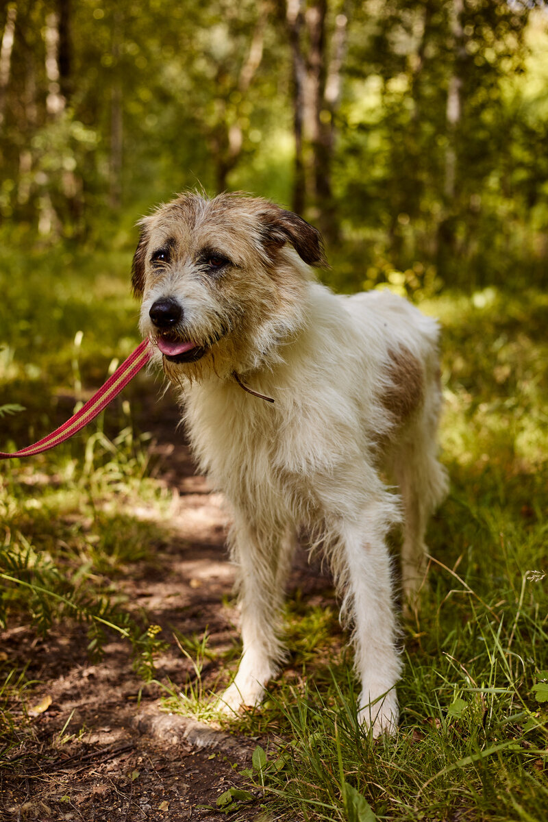 Ей нужен верный друг, человек, который навсегда рассеет все ее страхи, победит недоверие и никогда не предаст