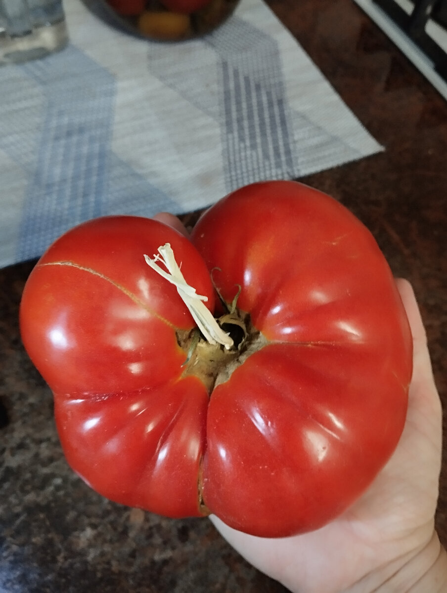 Томат Радиатор Чарли