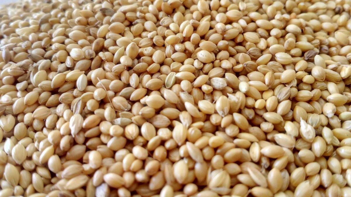    Фото: Unsplash Август Макаров