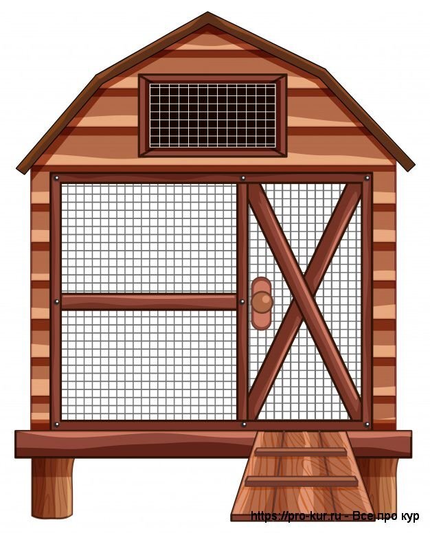 Зимний курятник – проект постройки на даче, размеры и пошаговое руководство