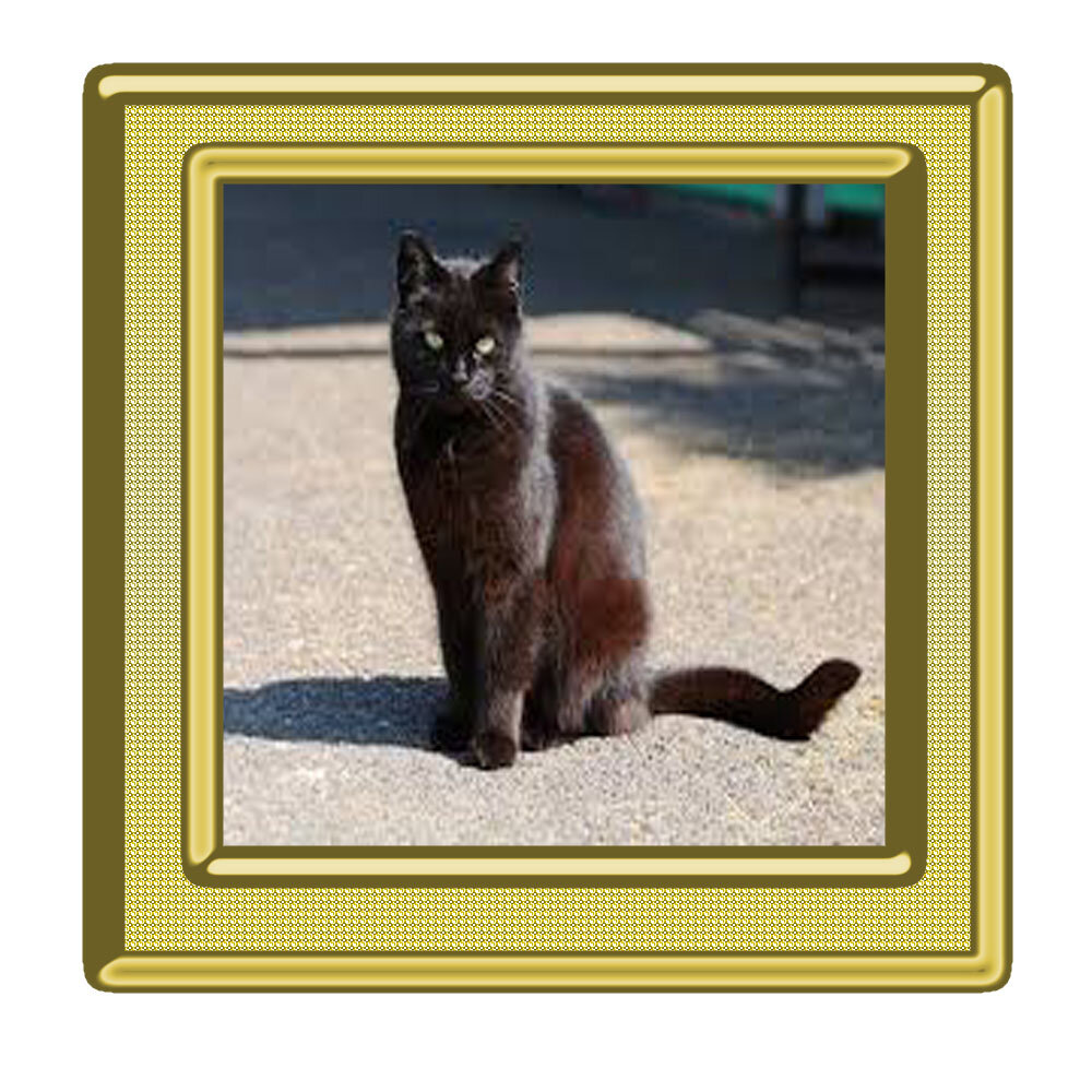 ссылка на картинку