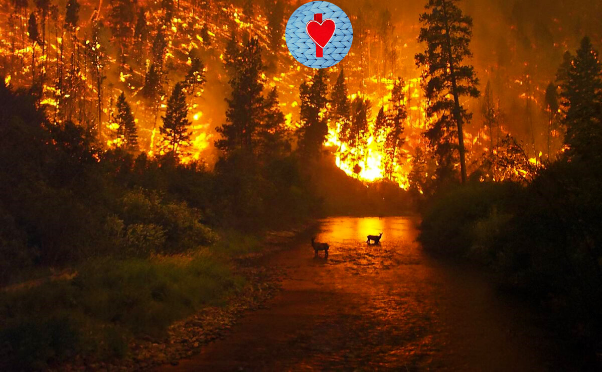 Подпишитесь на канал и поставьте лайк! Вы поможете развитию.