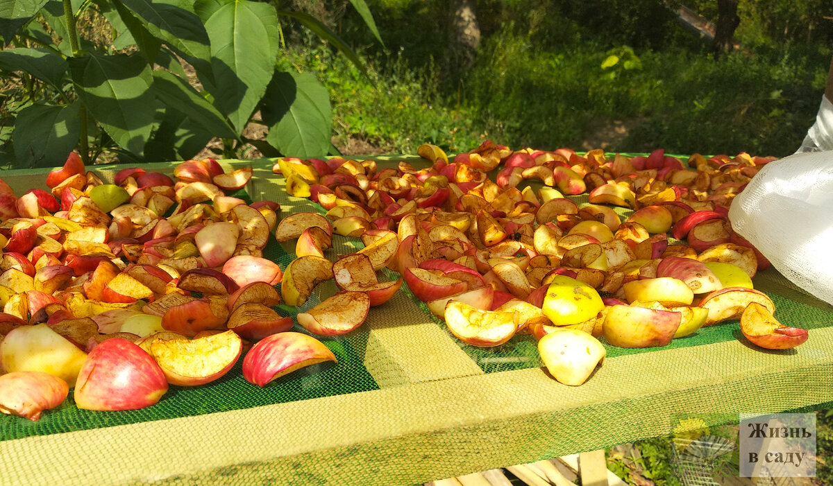 Ох, как зимой будет вкусно...