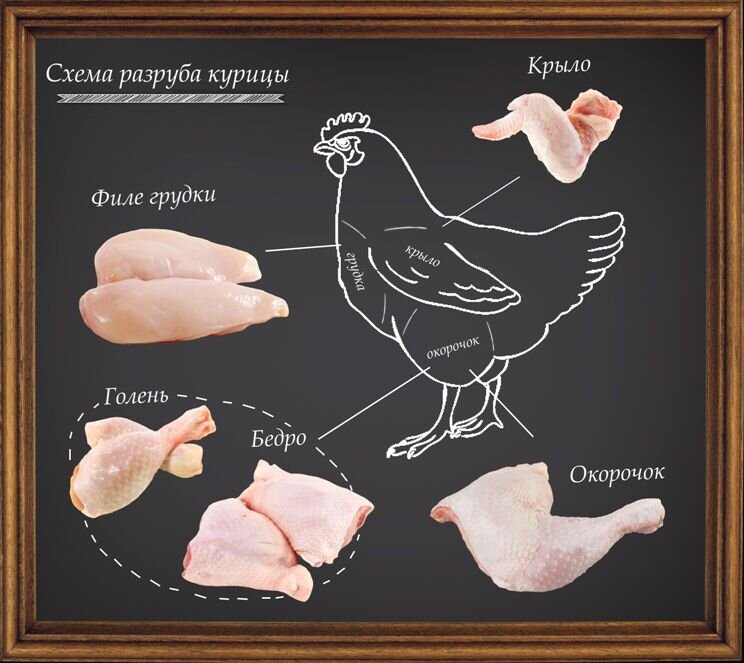 Мясо птицы – источник белка и предмет исследования