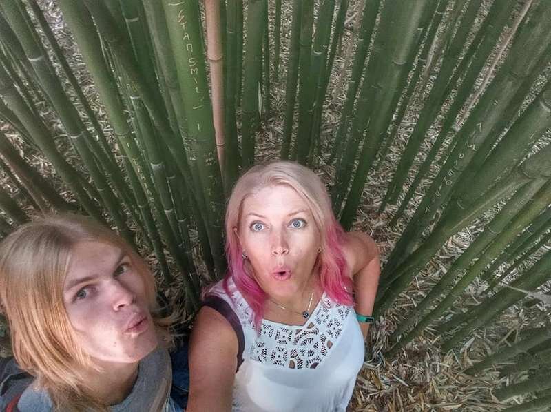 Бамбук в НБС. 