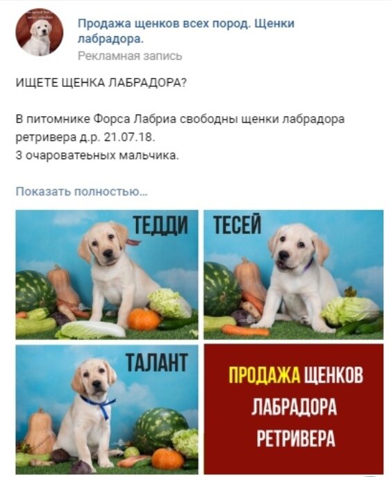 1 из 6Листайте вправо