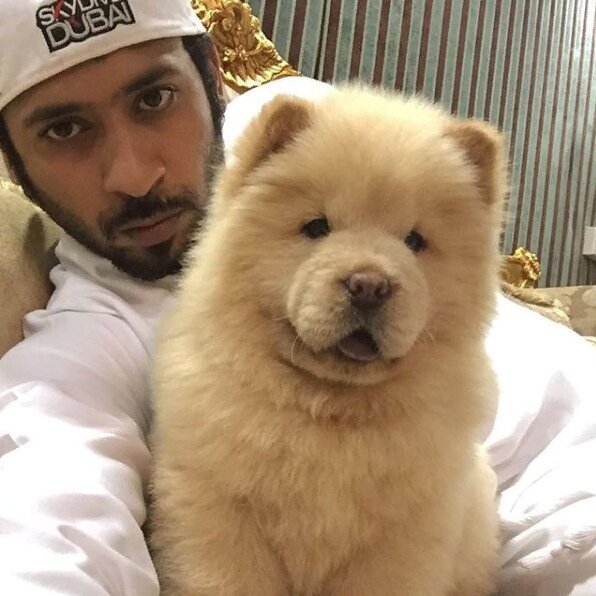 Фото взято со страницы instagram