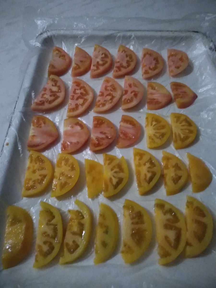 Заморозка помидор