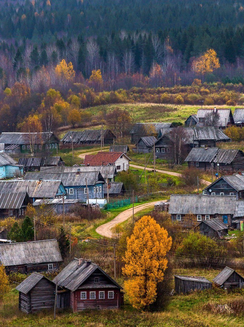 Яндекс.Картинки