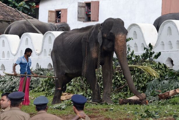 изображение: AFP/Getty Images