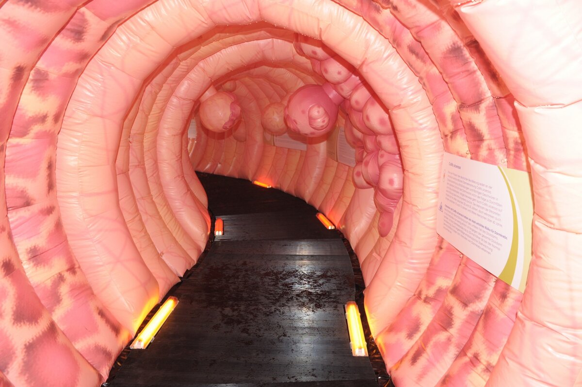 Источник: https://yandex.ru/images/