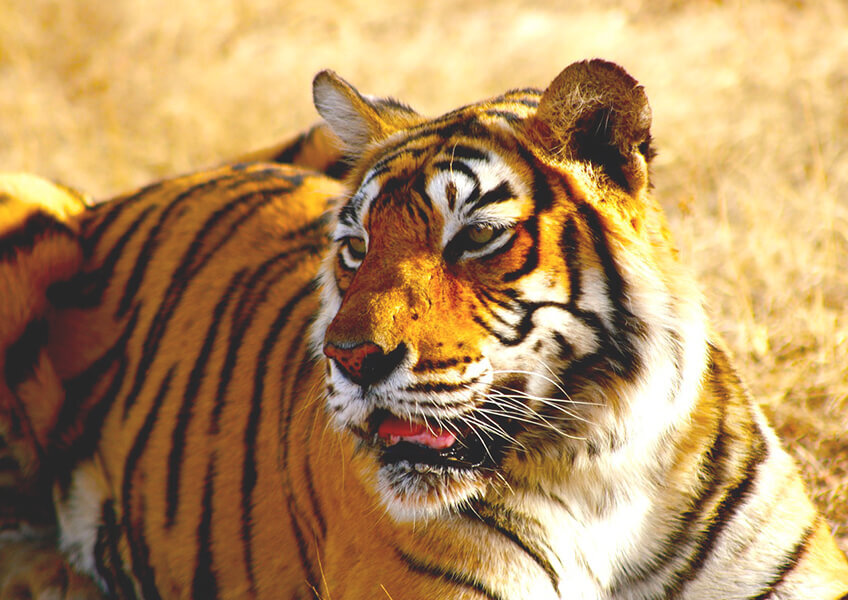 Источник фото: www.pixabay.com