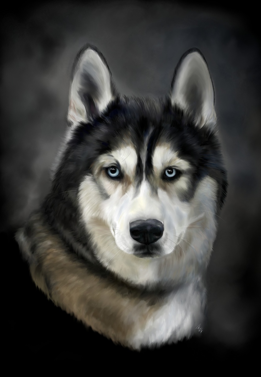 https://pixabay.com/ru/illustrations/%D1%85%D0%B0%D1%81%D0%BA%D0%B8-%D1%81%D0%BE%D0%B1%D0%B0%D0%BA%D0%B0-%D0%B1%D0%BE%D0%BB%D1%8C%D1%88%D0%B0%D1%8F-%D1%81%D0%BE%D0%B1%D0%B0%D0%BA%D0%B0-3451026/