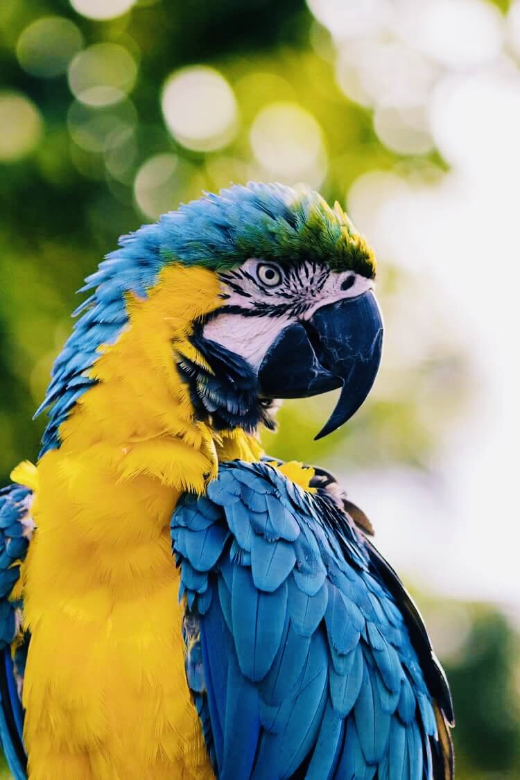 Правдивый гороскоп