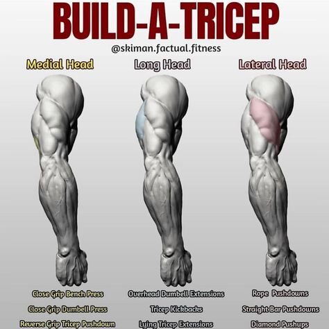 All tricep heads workout sale