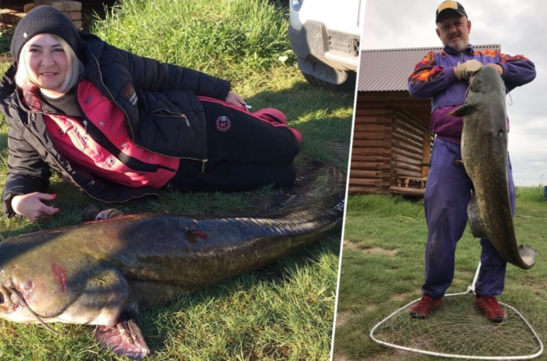 фото из сети Интернет