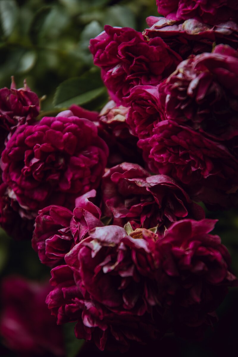 Источник https://unsplash.com/photos/LeCOxFMMOIs