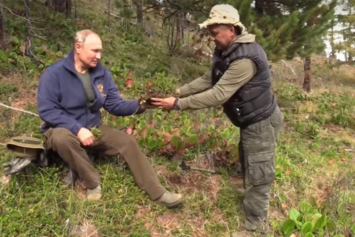 Скриншот: Life Новости 