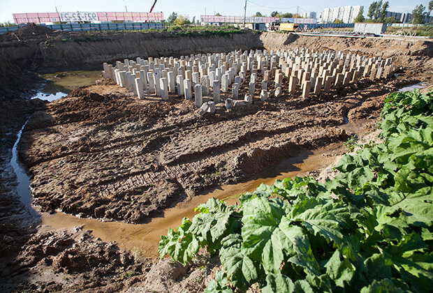 Фото: Александра Краснова / ТАСС