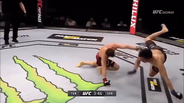 петр ян, смешанные единоборства, мма, ufc