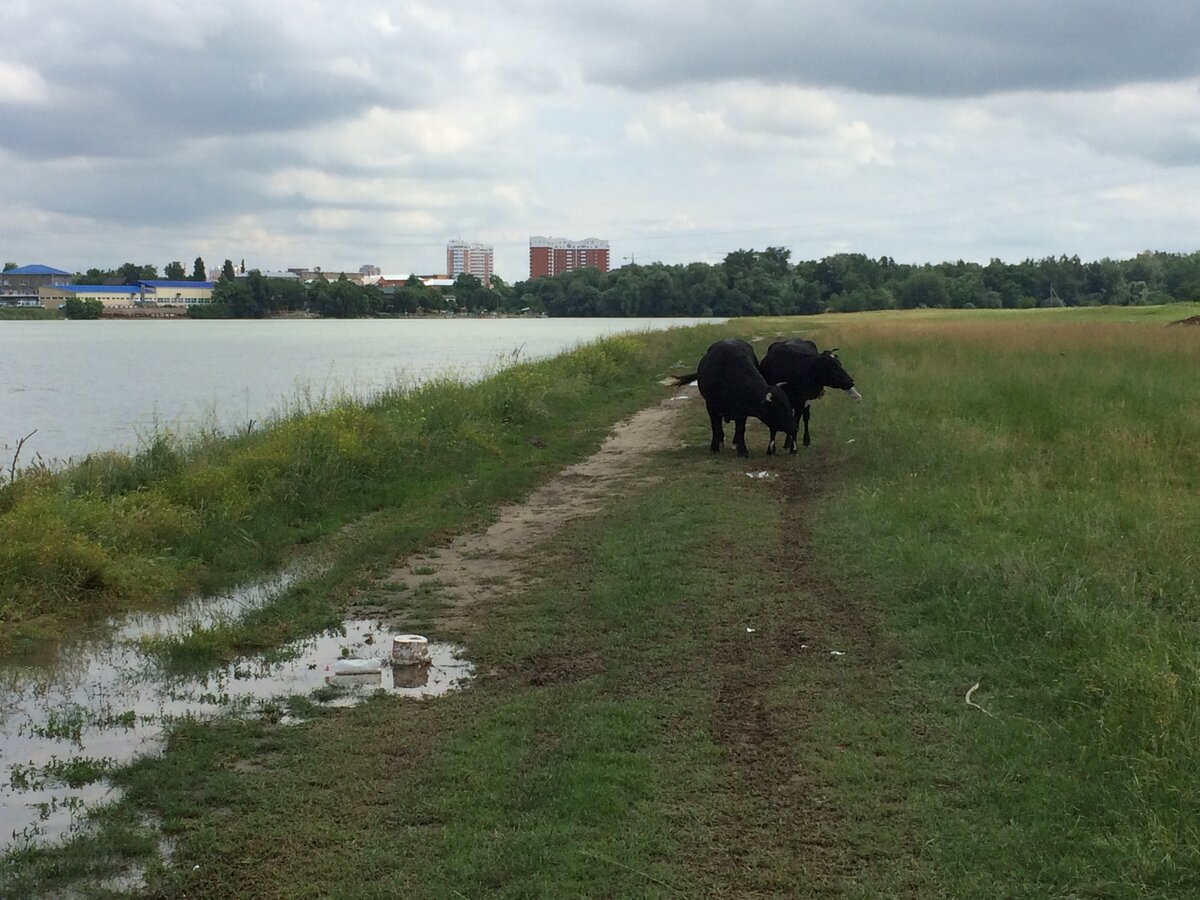 Краснодар на другой стороне реки. 