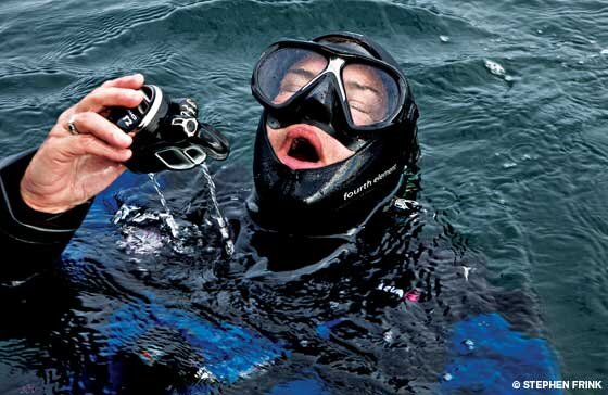 Фото с сайта alertdiver