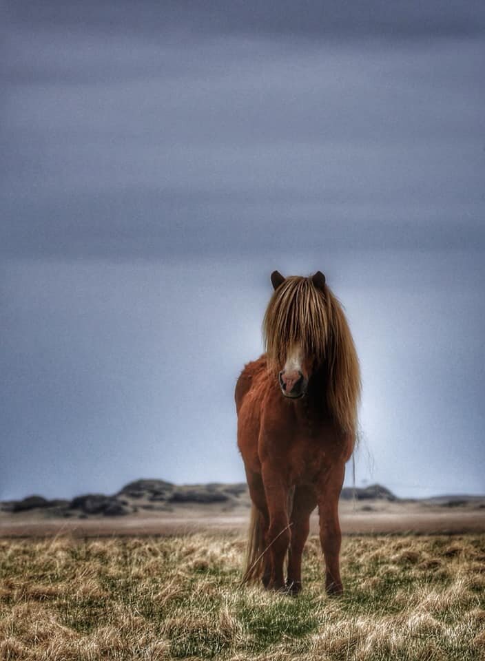 Фото Елена Павличенко