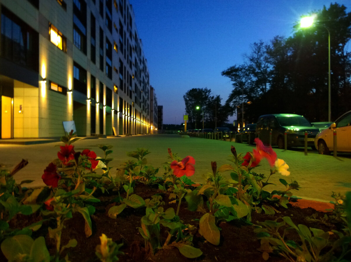 Фото в качестве примера. ЖК "Царская столица", метро пл. Восстания. Здесь и далее - фото автора