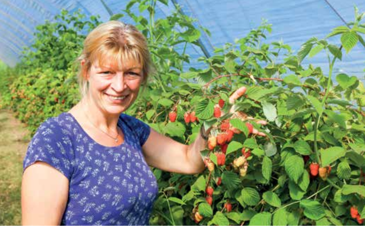 Никки Дженнингс с института Джеймса Хаттона