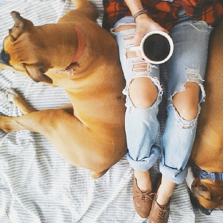 Иллюстративное фото из Интернета