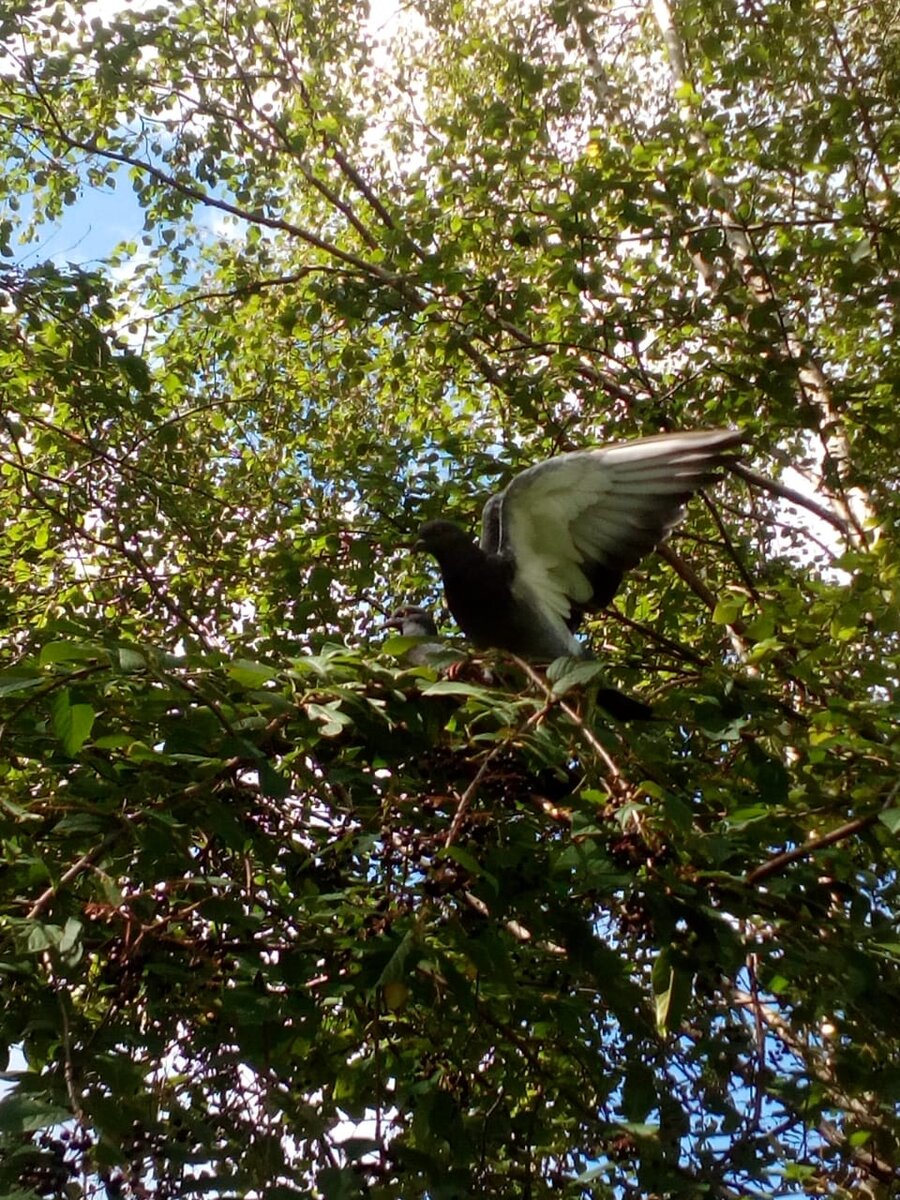фото автора. к теме дискуссии не относится