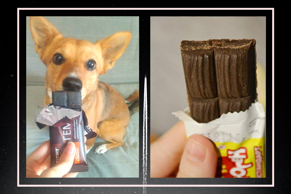 Гематоген из бычьей крови. Можно ли собакам гематоген. Гематоген для собак. Гематоген народный детский сибирское здоровье 2000. Гематоген в зеленой упаковке.