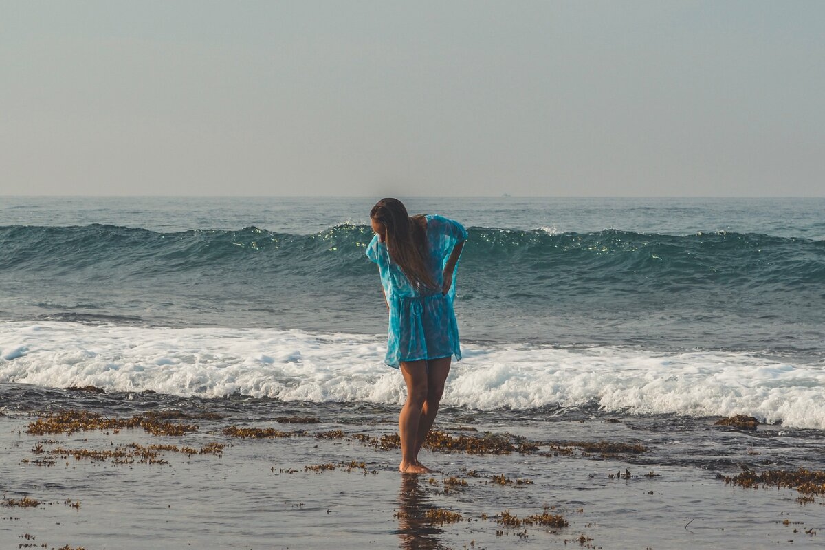 Сбор водорослей