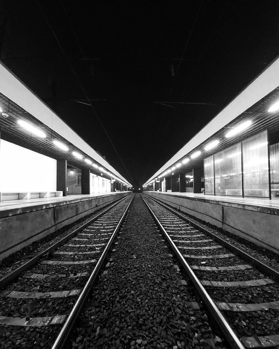 Photo by Alvaro Braga on Unsplash