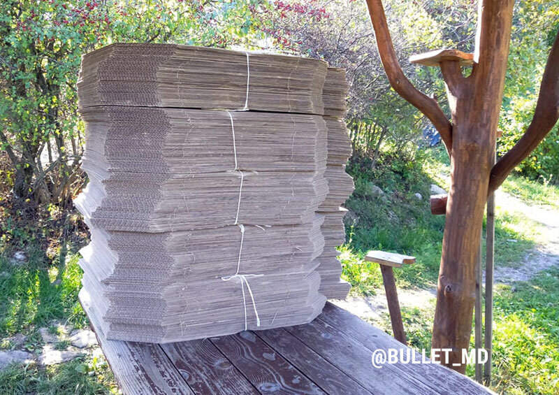 instagram @bullet_md