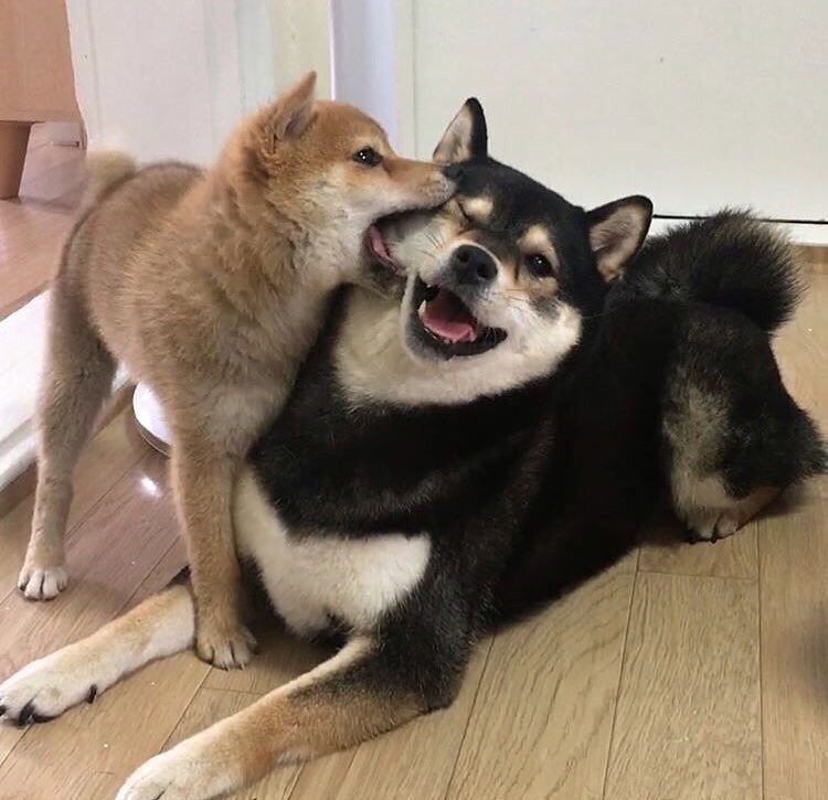 -2