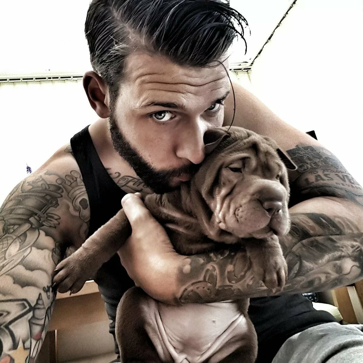  Яндекс картинки