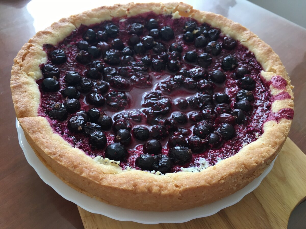 Домашний чизкейк со смородиной. Фото мое