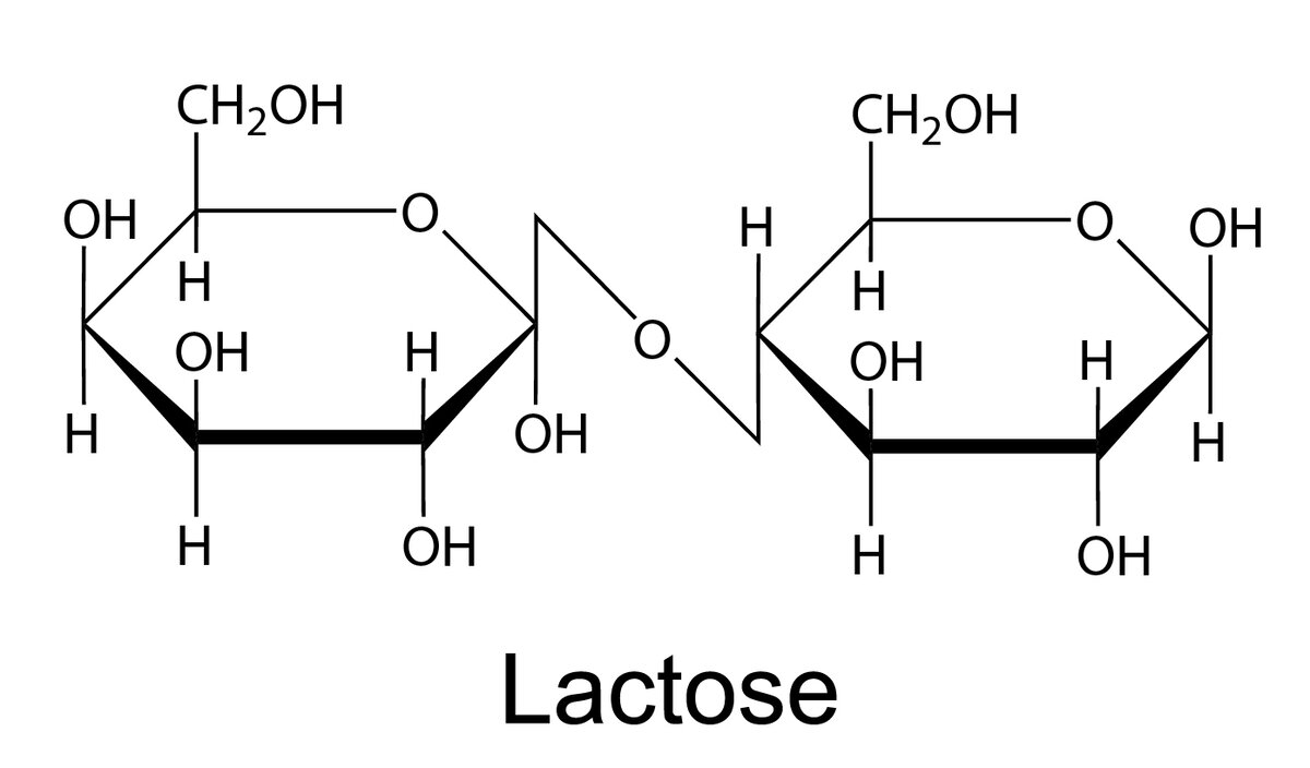 Лактоза вкус. Лактоза биологическая роль биохимия. Лактоза химическая структура. Формула структуры лактозы. Лактоза развернутая формула.