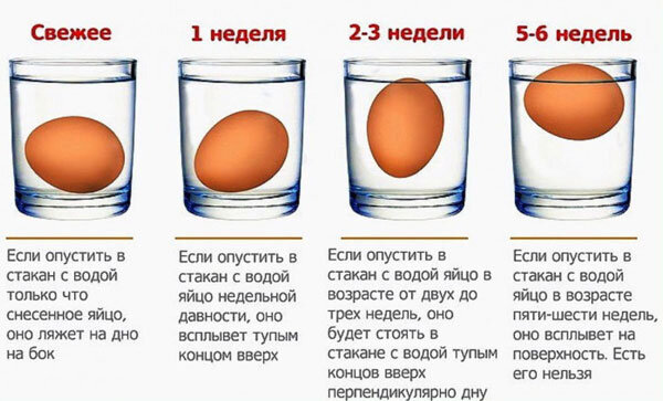 Если яйцо в воде всплывает что это