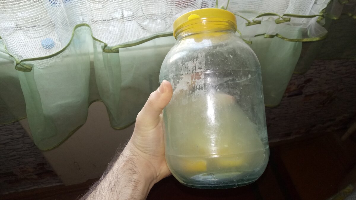 Мой сок бессмертия