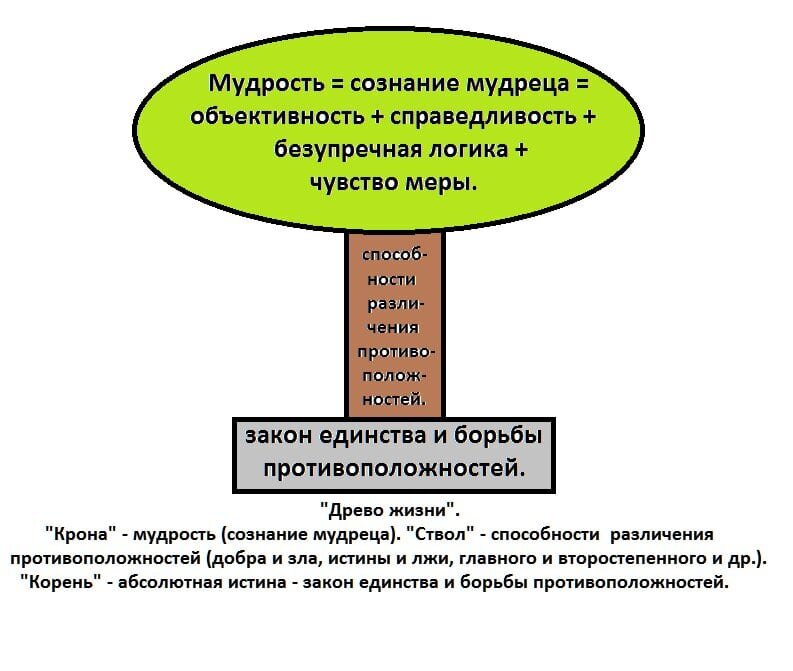 Дерево понятий. Древо философии. Древо философии схема. Древо философии термин. Дерево понятий логика.