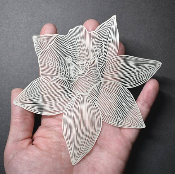 Все фото - https://www.instagram.com/bearfollowscat/