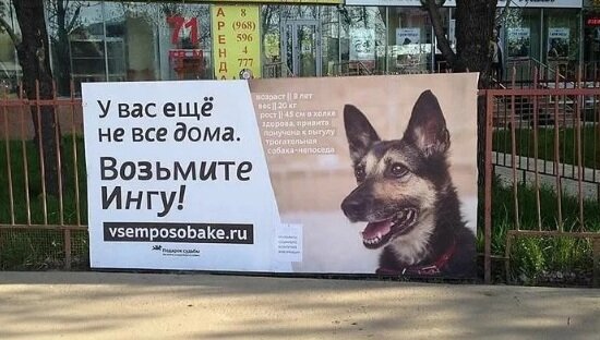 Источник: https://yandex.ru/collections/user/iskanderklub/