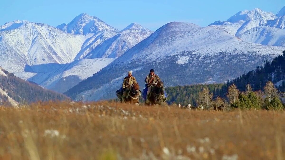 Из открытого источника. Кадр из фильма