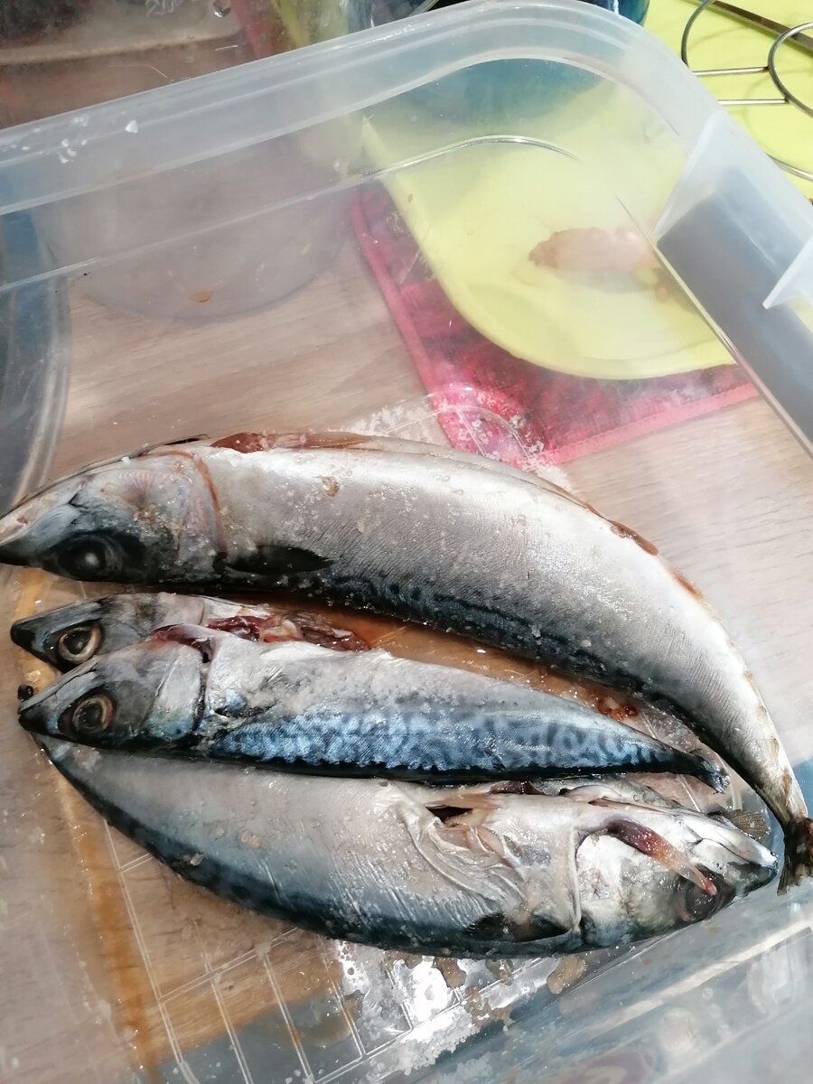 Вот так выглядит рыба, приготовленная для копчения