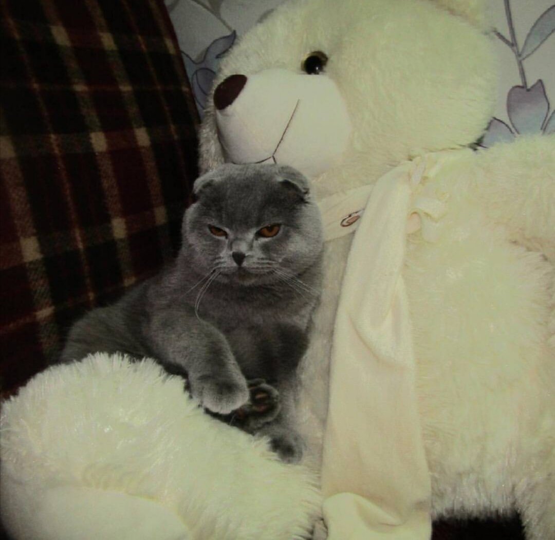 Оксимирон❤️