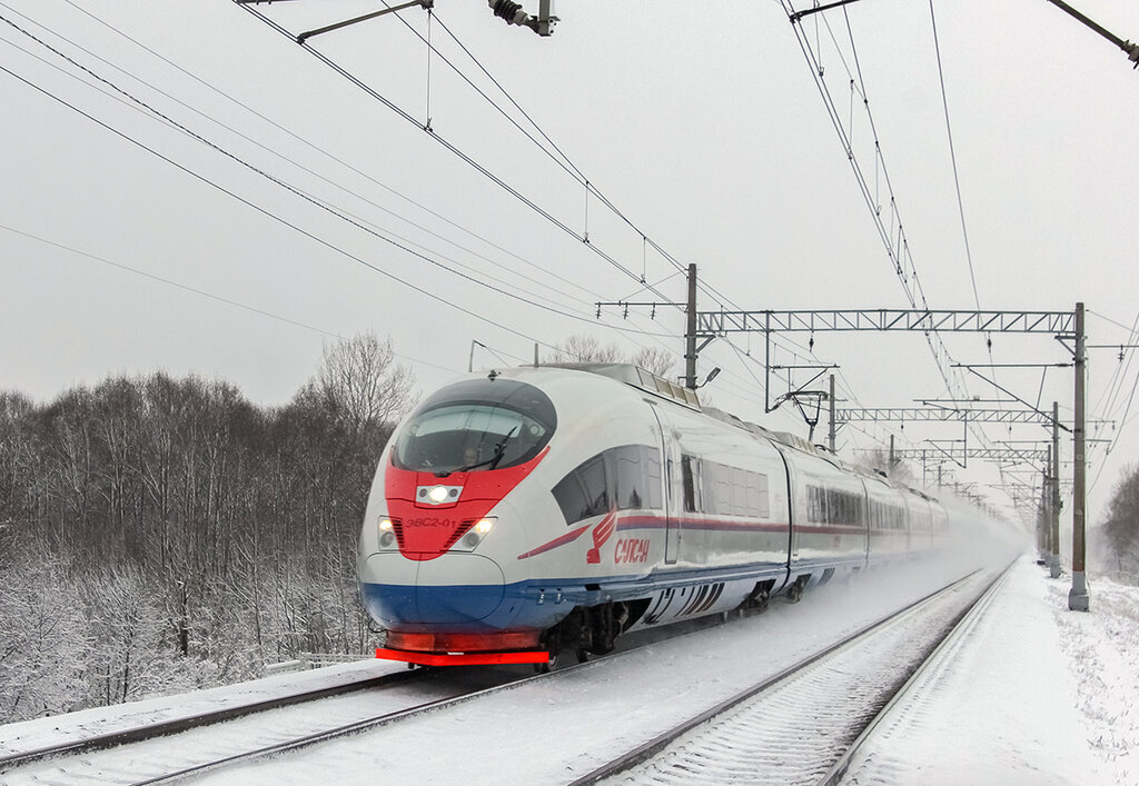 Скорый москва петербург. Скоростной поезд Сапсан. Скоростной поезд САМСАМ. Скоростной электропоезд Сапсан. Эвс2-01 Сапсан