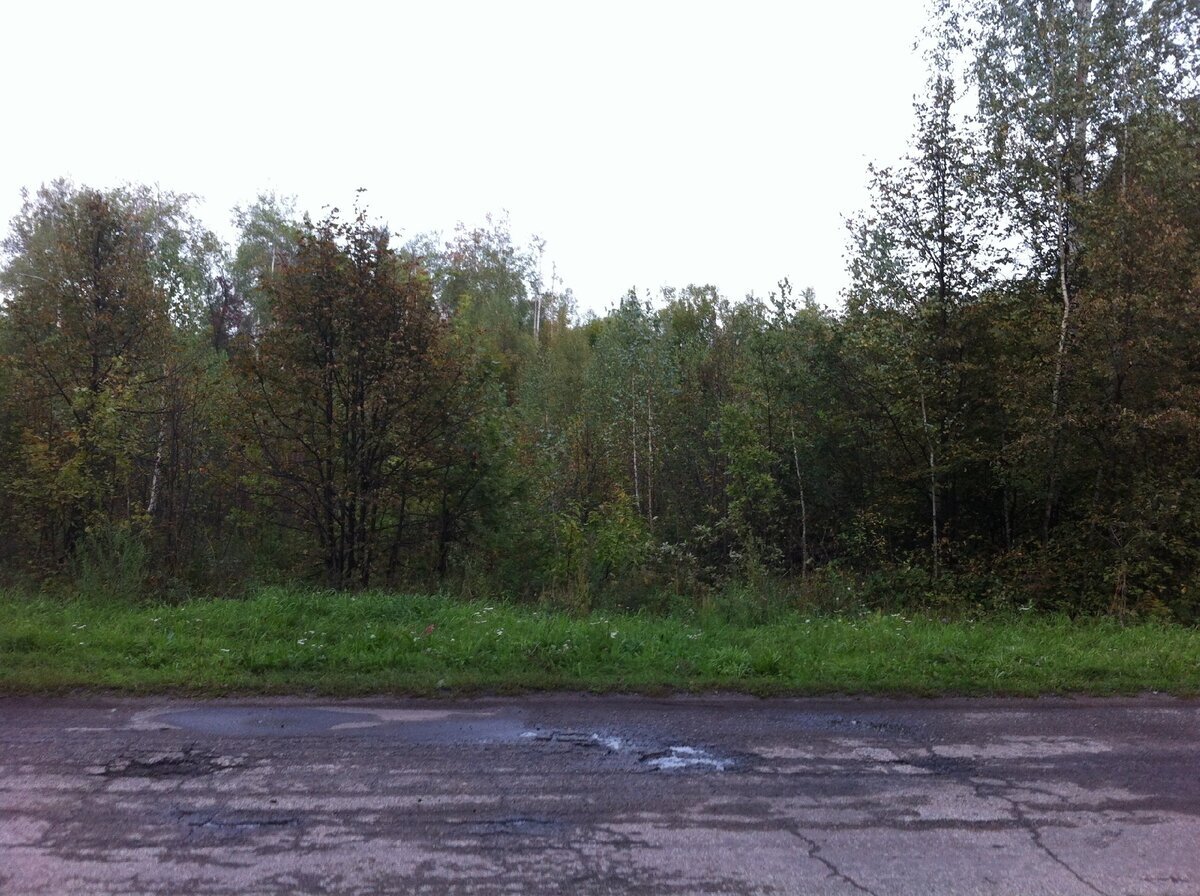 Дорога ремонтируется почти каждый год. Фото из Яндекс.Карты