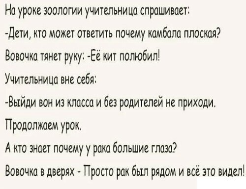 Анекдот про Вовочку на программе Малахова.